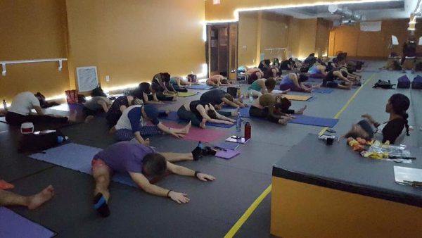 Yin Yoga Certification