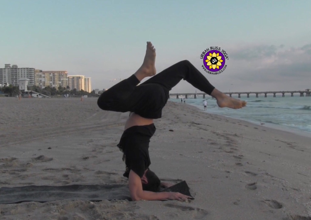 Hollowback Pincha Mayurasana Hollowback Pincha Mayurasana